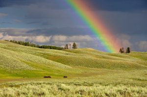 Noahs ark trust in god