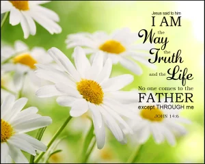 The Way, the Truth and the Life : John Chapter 14 6